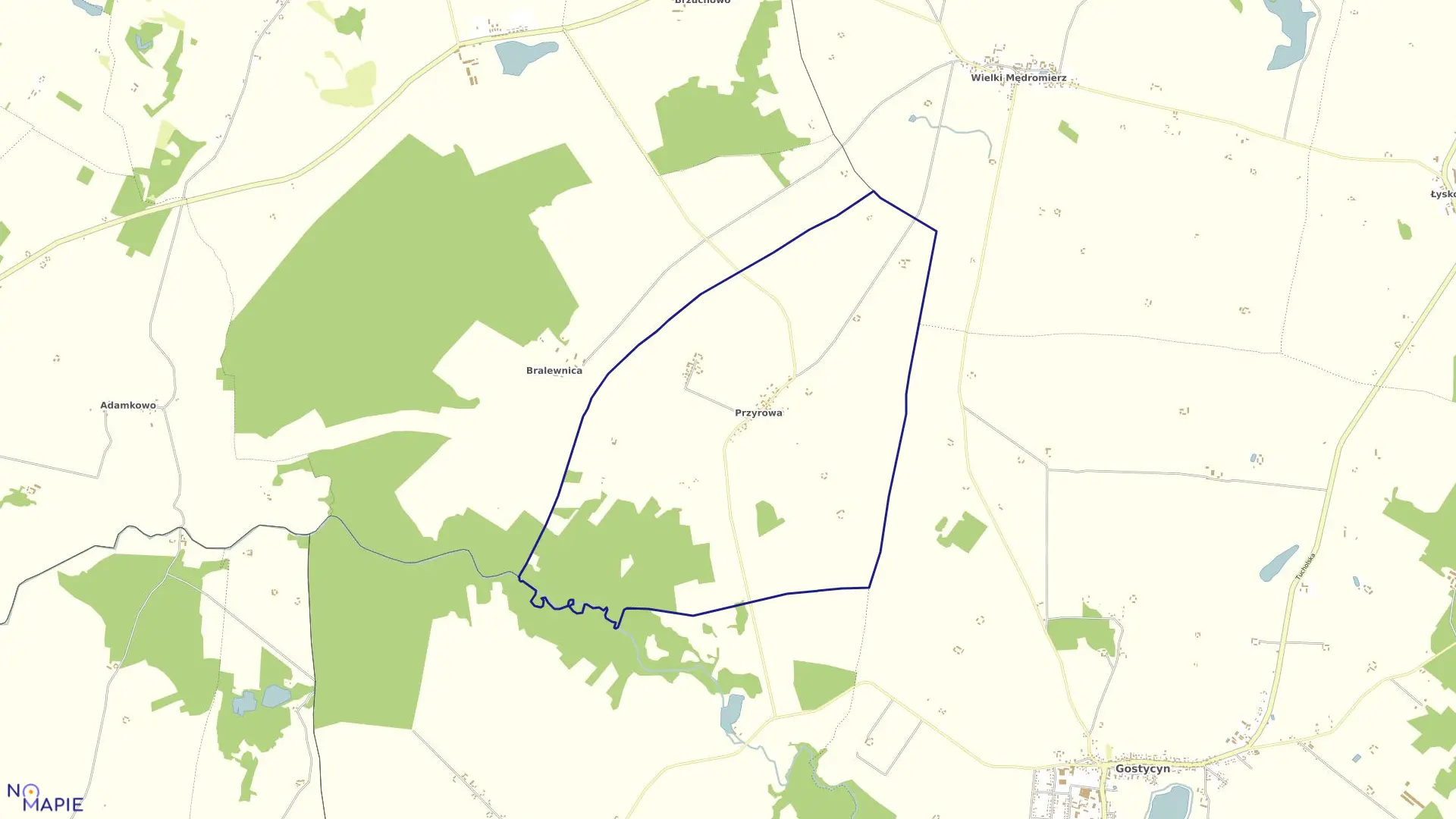 Mapa obrębu Przyrowa w gminie Gostycyn